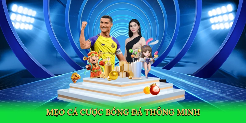 meo-ca-cuoc-bong-da-thong-minh-4