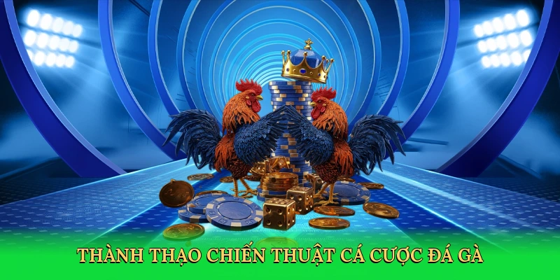 thanh-thao-chien-thuat-ca-cuoc-da-ga-4