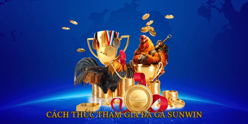 Cách thức tham gia đá gà SUNWIN