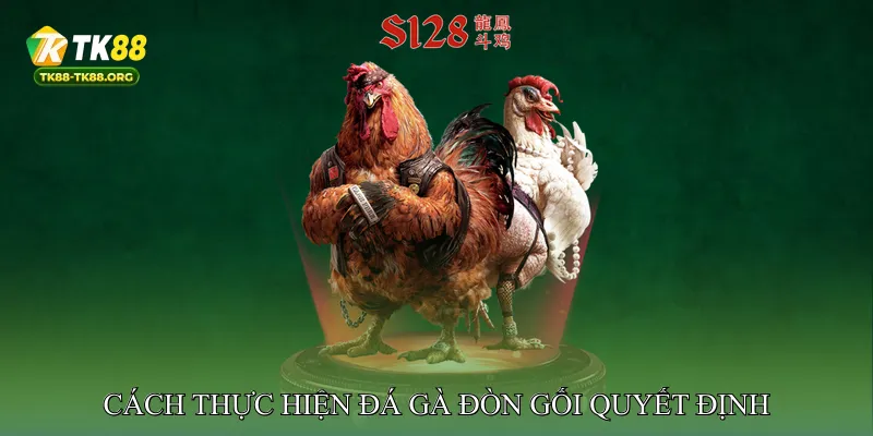 Cách Thực Hiện Đá Gà Đòn Gối Quyết Định