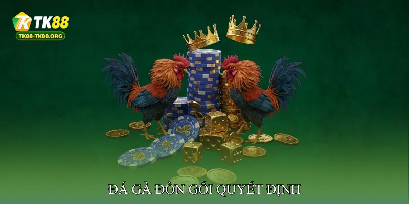 Đá gà đòn gối quyết định