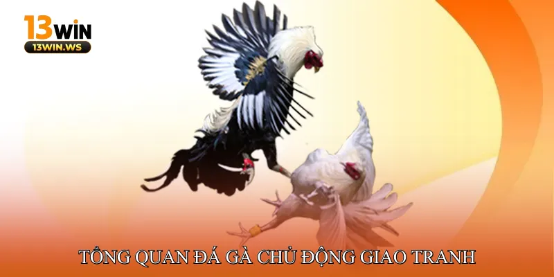 Tổng Quan Đá Gà Chủ Động Giao Tranh