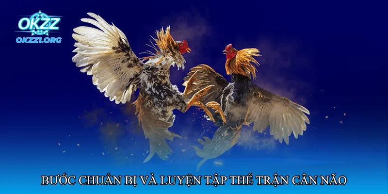 Bước chuẩn bị và luyện tập thế trận cân não