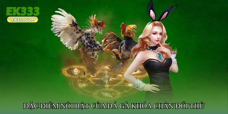 Đặc điểm nổi bật của đá gà khóa chân đối thủ