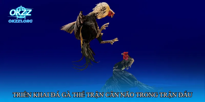 Triển khai đá gà thế trận cân não trong trận đấu